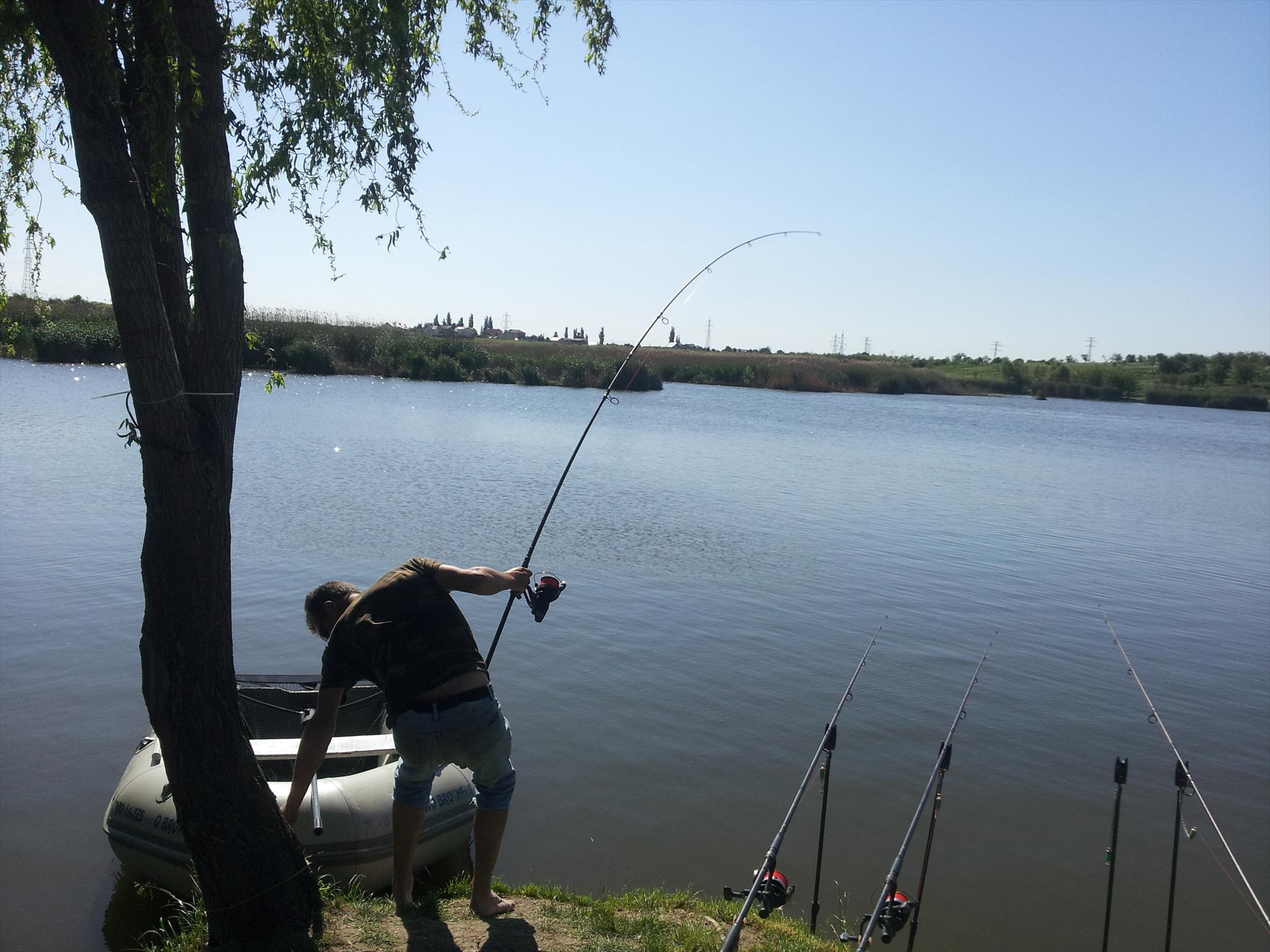 tancabesti 11-12'05''2013 - 20130512165531.jpg